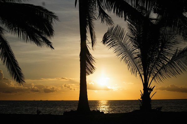 Quels sont les meilleurs spots pour faire du parapente à Interlaken, Suisse?