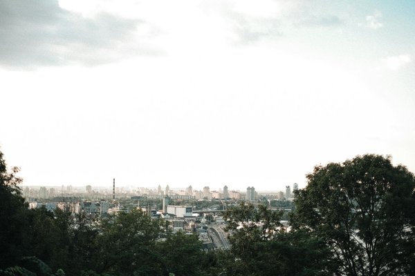 Comment organiser des vacances en Norvège avec des excursions en bateau pour observer les baleines et des ateliers de photographie marine?
