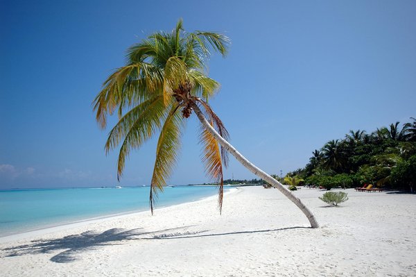 Peut-on trouver une croisière qui propose des visites des vignobles biologiques en Californie?