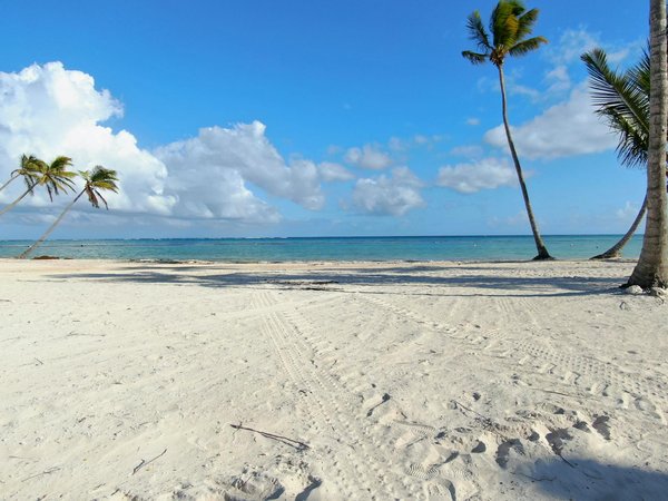 Comment planifier une visite des marchés de Noël en Autriche?