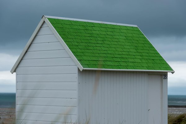 Quelles croisières offrent des séminaires sur les espèces endémiques de Madagascar?